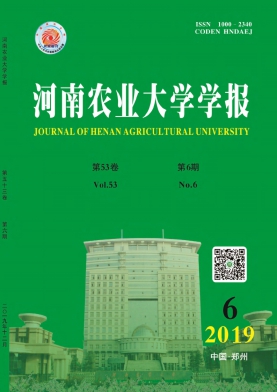 20196