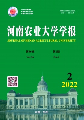 20222