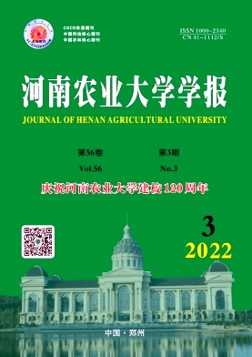 20223
