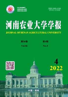 20224