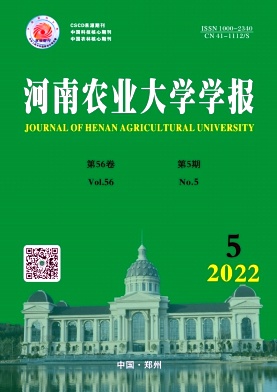 20225