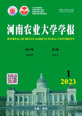 20231