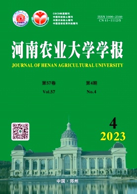 20234