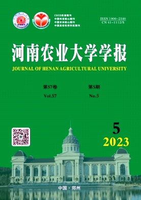 20235