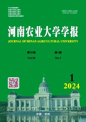 20241